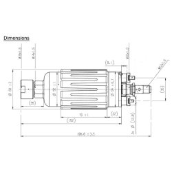 Bosch Benzinpumpe 275 l/t