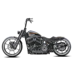 Harley-Davidson CC 50 Bike