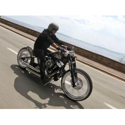 Harley-Davidson Blackline Beauty