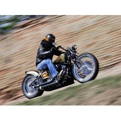 Harley-Davidson Blackline Beauty