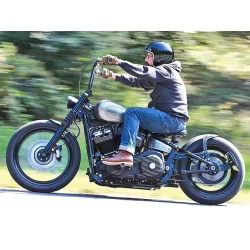 Harley-Davidson Cross Bob