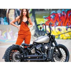 Harley-Davidson Cross Bob