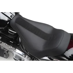 Harley-Davidson Undertaker