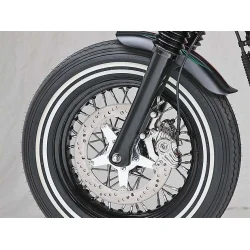 Harley-Davidson Hollister