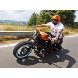 Harley-Davidson Sexy Thing