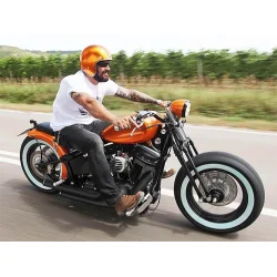 Harley-Davidson Sexy Thing