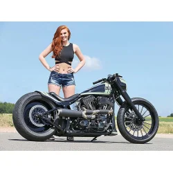 Harley-Davidson The Fusion