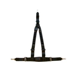 Schroth Rallye 3 ASM sportsblte