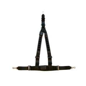 Schroth Rallye 3 ASM sportsblte