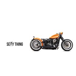 Harley-Davidson Sexy Thing