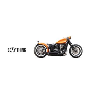 Harley-Davidson Sexy Thing