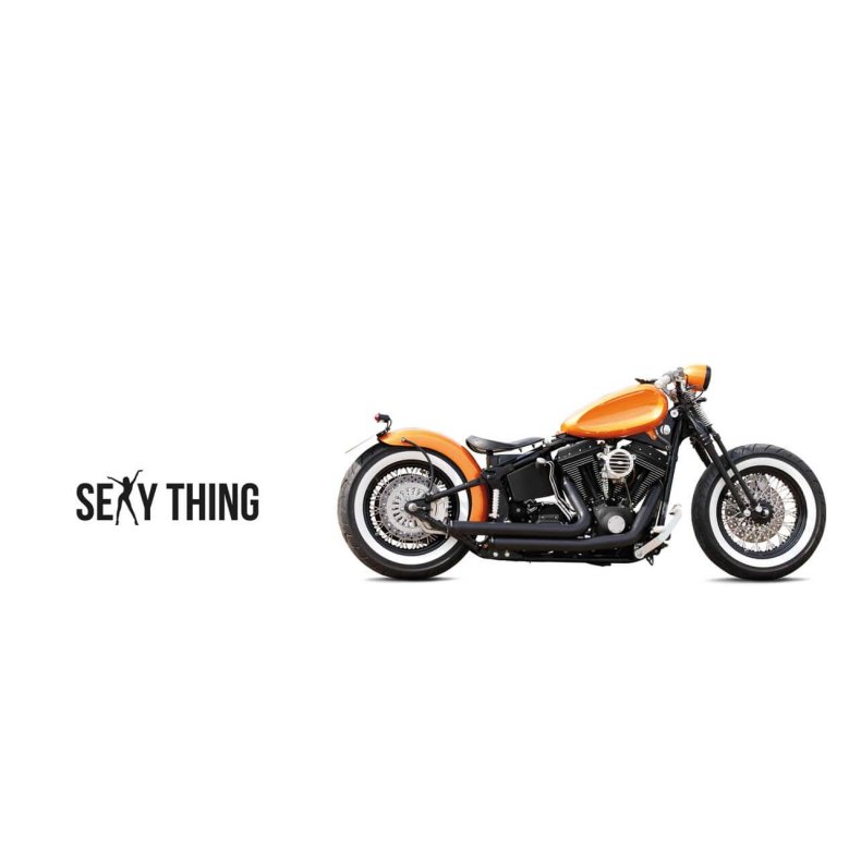 Harley-Davidson Sexy Thing