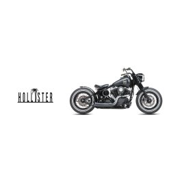 Harley-Davidson Hollister